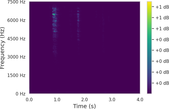 Spectrum 9